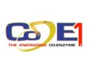 CO-E1